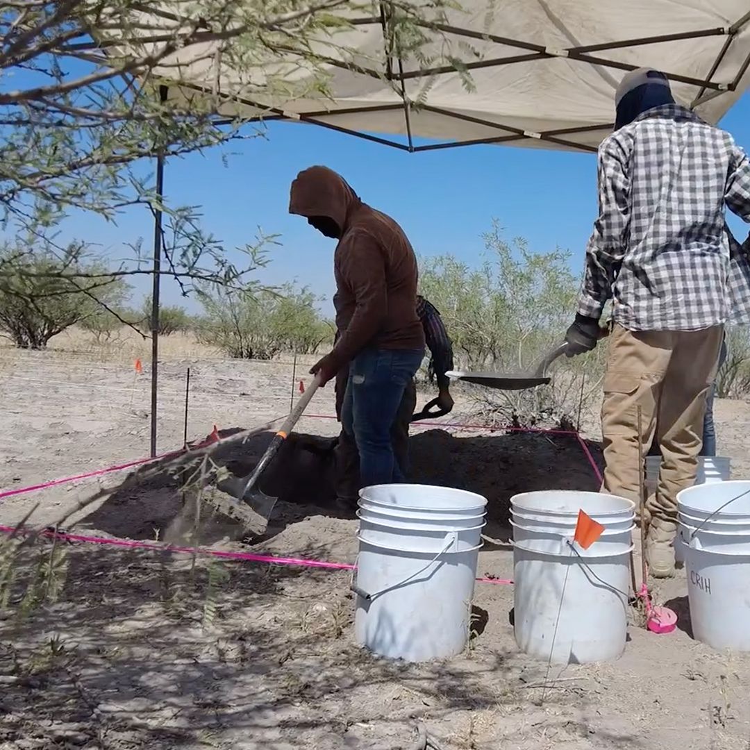 Encuentran Fosas con Restos Humanos en Viesca, Coahuila